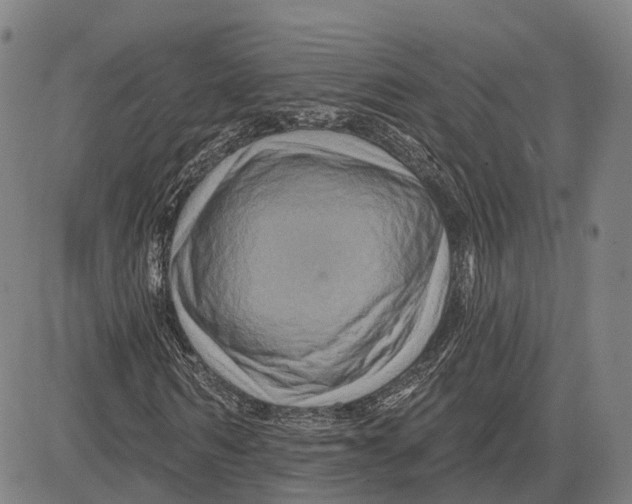 X0000081440962200702021713