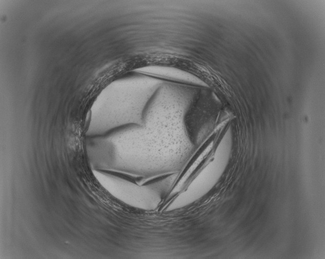 X0000081440964200702021713