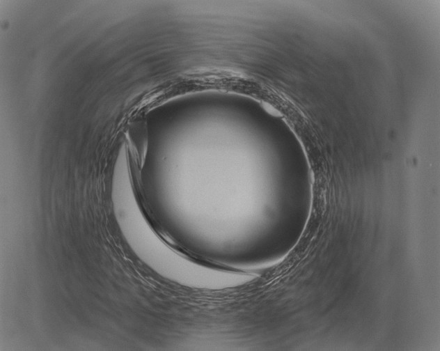 X0000081440965200702021713