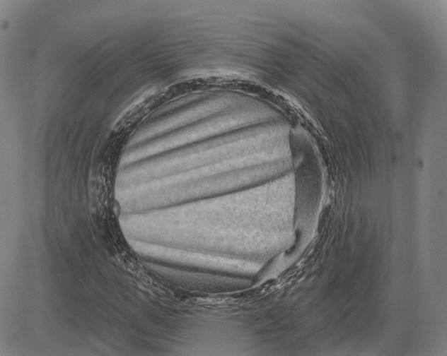 X0000081440967200702021713