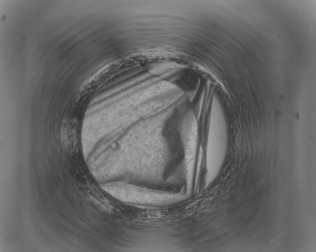 X0000081440968200702021713