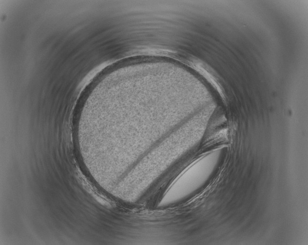 X0000081440972200702021713