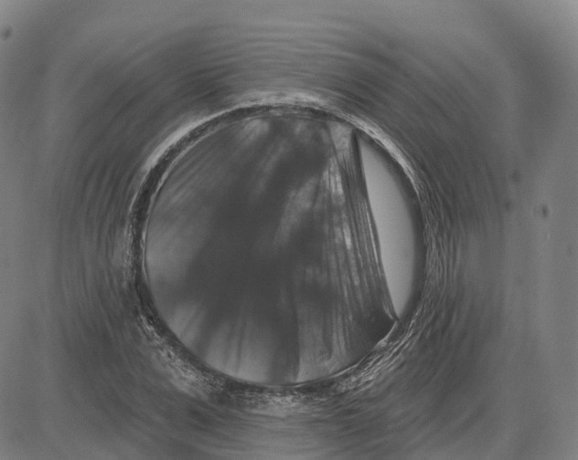 X0000081440975200702021713