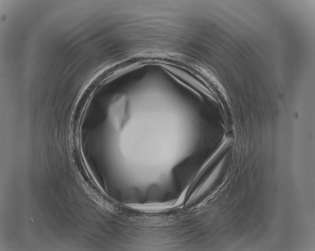X0000081440976200702021713