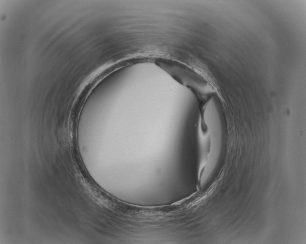X0000081440981200702021713