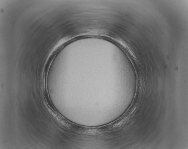 X0000081440982200702021713