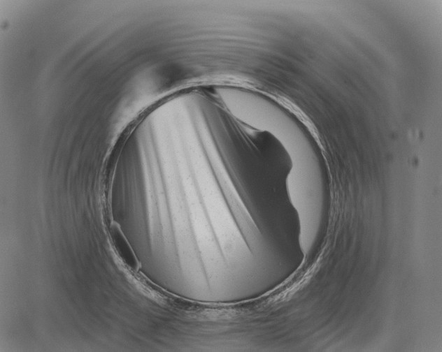 X0000081440989200702021713