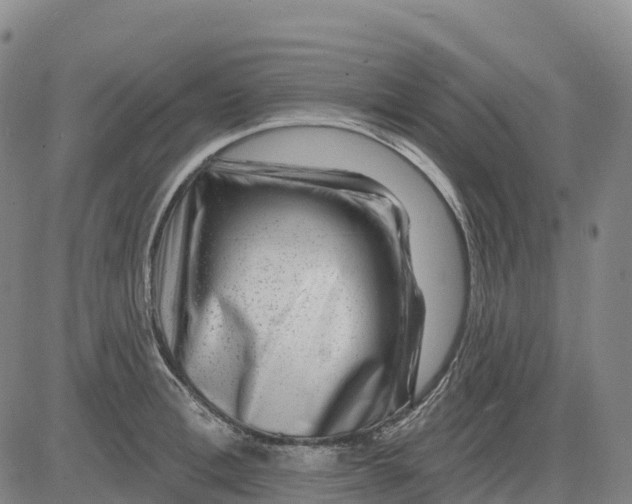 X0000081440996200702021713