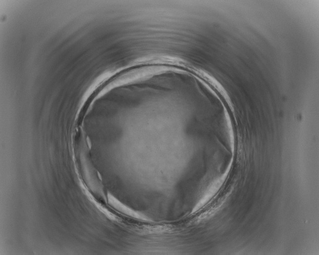 X0000081440997200702021713
