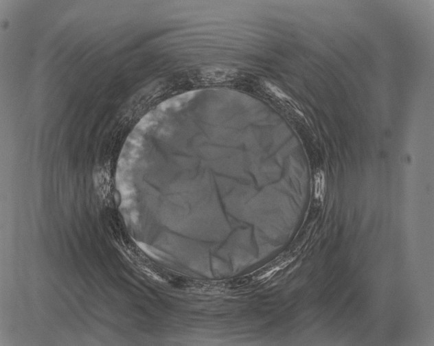 X0000081441011200702021712