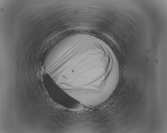 X0000081441015200702021712