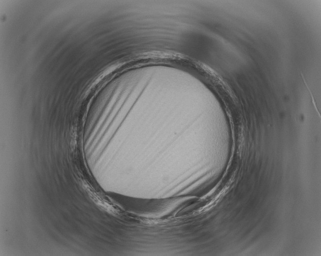 X0000081441017200702021712