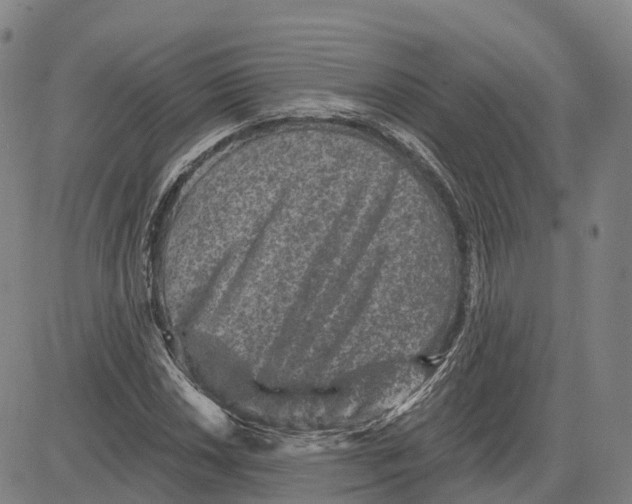 X0000081441018200702021712