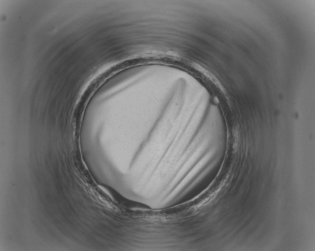X0000081441021200702021712