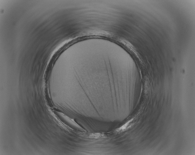 X0000081441024200702021712