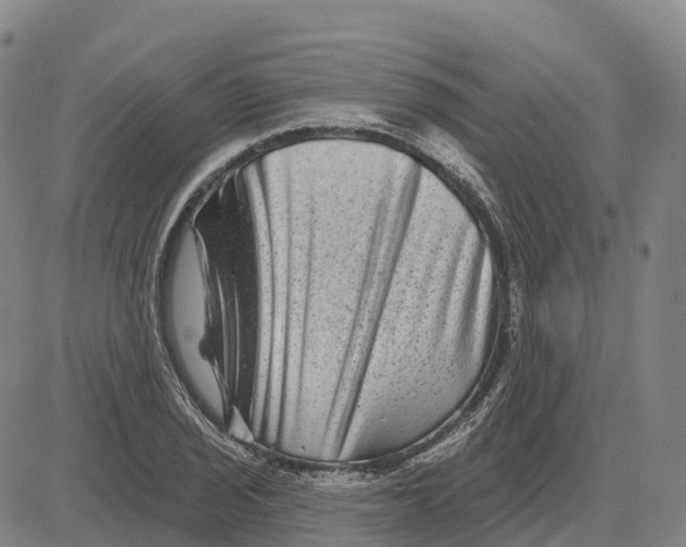 X0000081441029200702021712