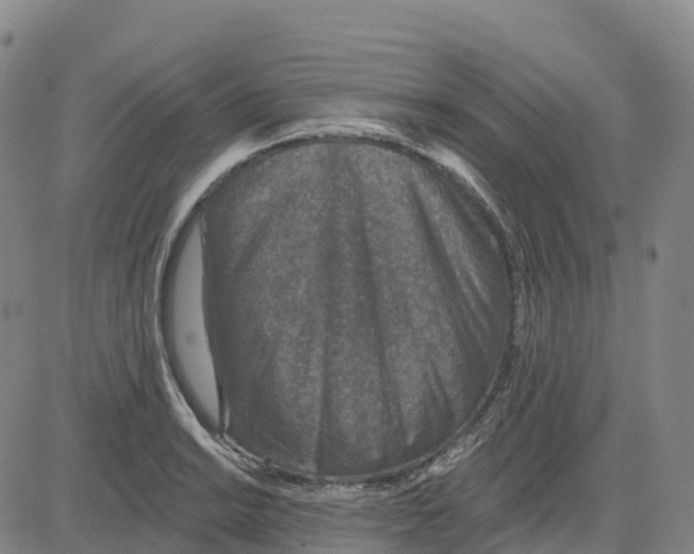 X0000081441038200702021712