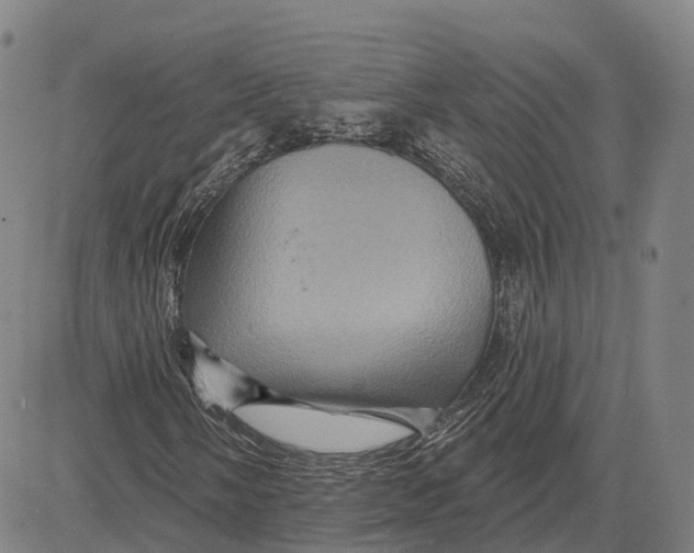 X0000081441058200702021712