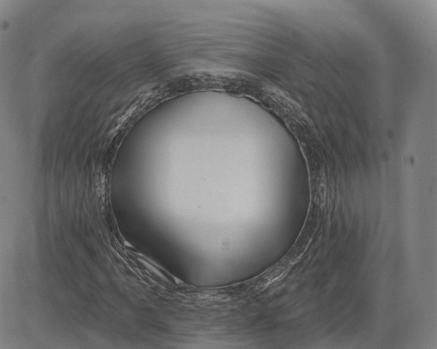 X0000081441061200702021712