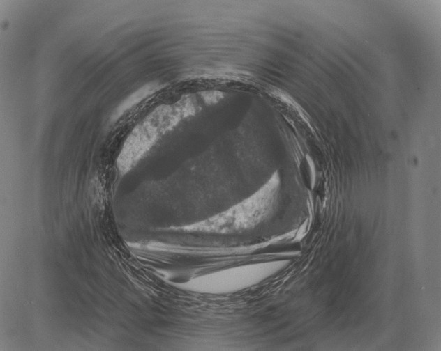 X0000081441064200702021712