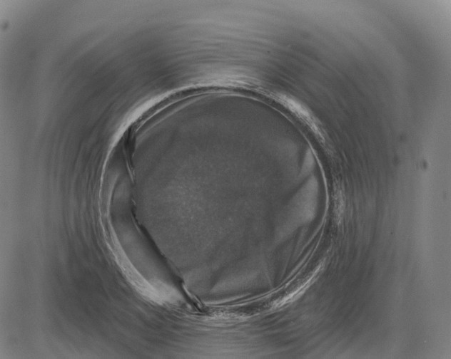 X0000081441077200702021711