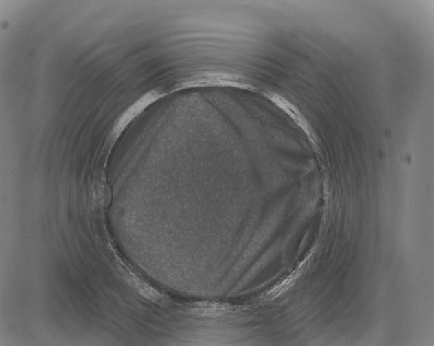 X0000081441081200702021711