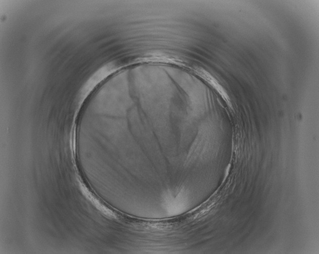X0000081441084200702021711