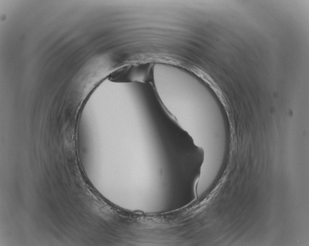 X0000081441089200702021711