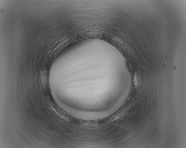 X0000081441107200702021710
