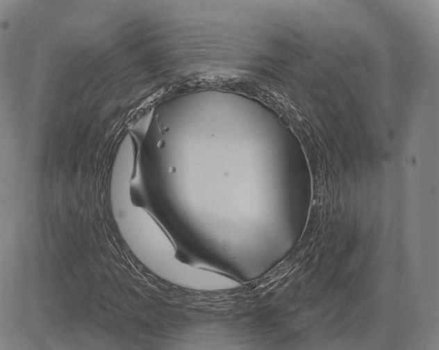 X0000081441109200702021710