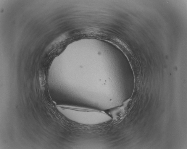 X0000081441111200702021710