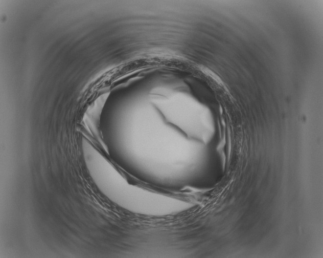 X0000081441112200702021710