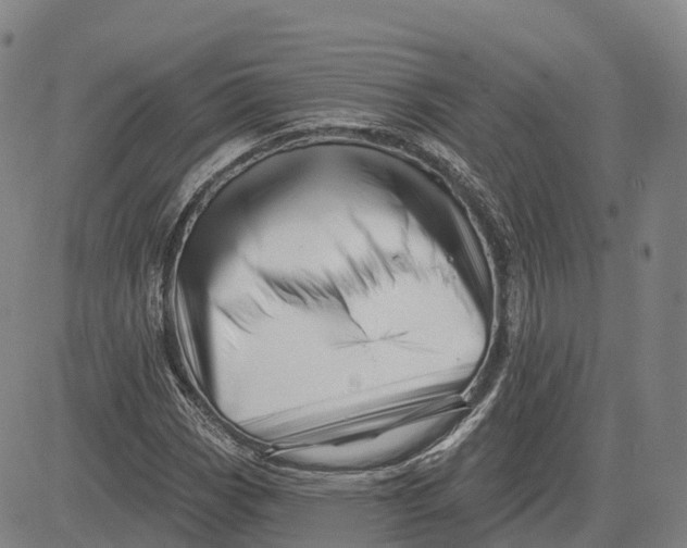 X0000081441113200702021710