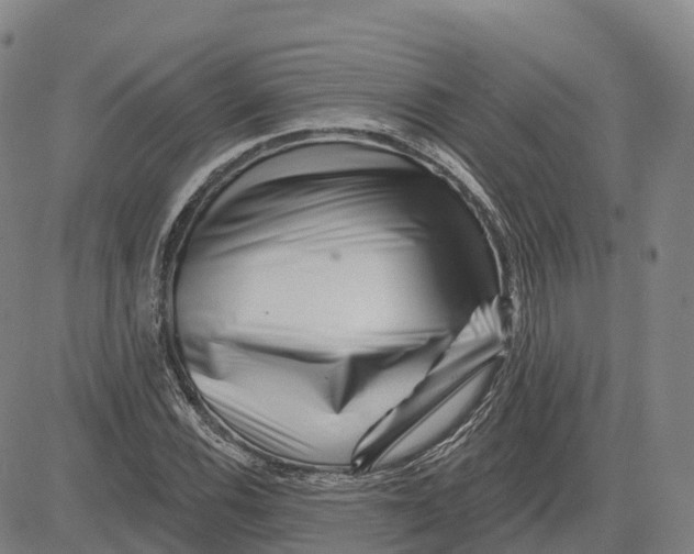 X0000081441116200702021710