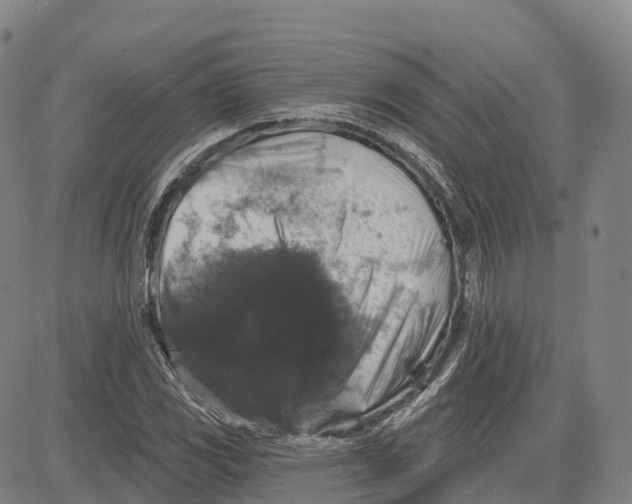 X0000081441117200702021710