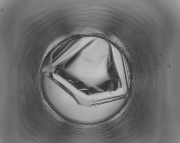 X0000081441122200702021710