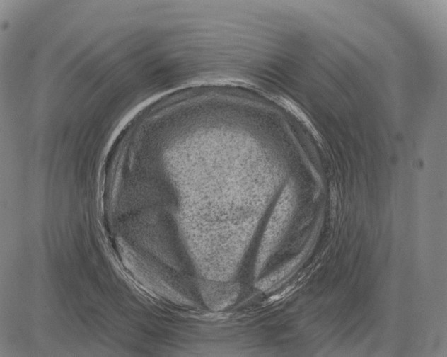 X0000081441124200702021710