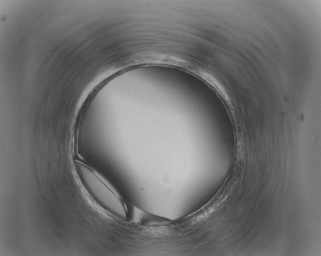 X0000081441136200702021711