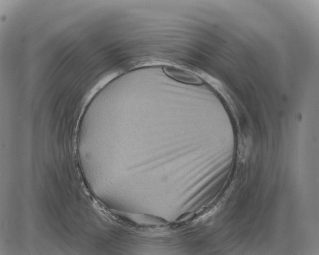 X0000081441145200702021711