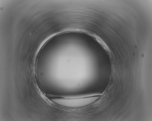 X0000081441148200702021711