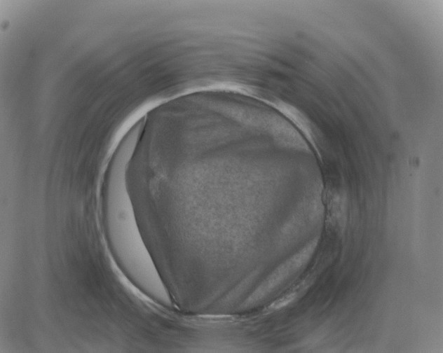 X0000081441151200702021711