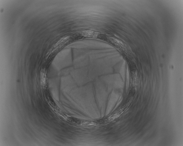 X0000081441154200702021710