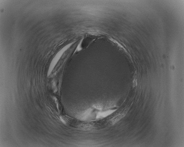 X0000081441156200702021710