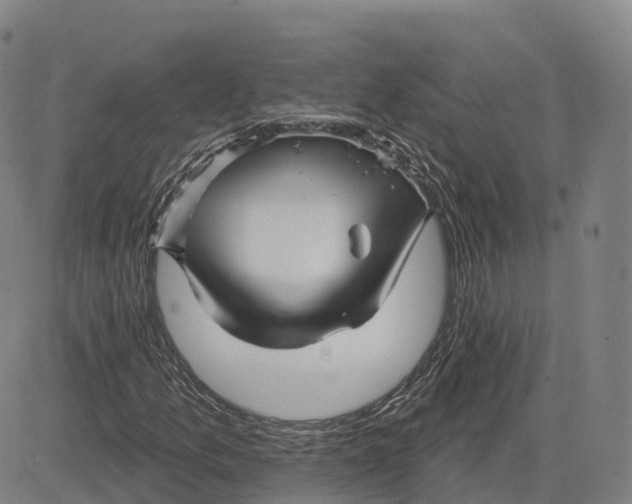 X0000081441157200702021710