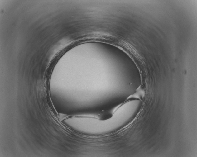 X0000081441164200702021710