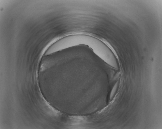 X0000081441197200702021709
