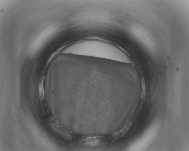 X0000081441198200702021709