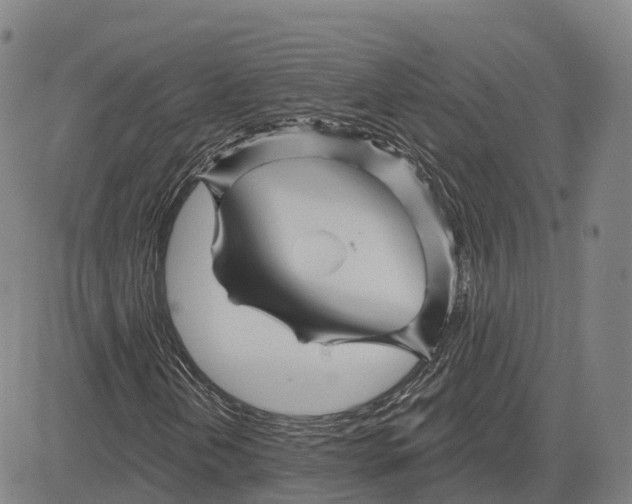 X0000081441202200702021709
