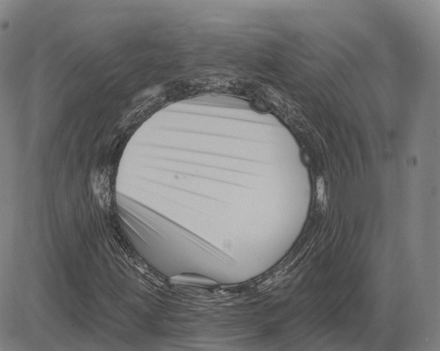 X0000081441203200702021709
