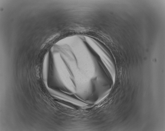 X0000081441205200702021709